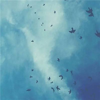 大天使手游超爆版