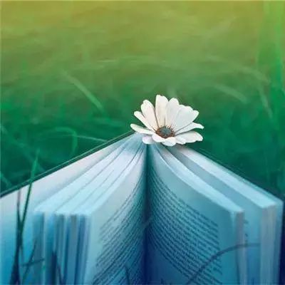 阴阳师之妖刀手游公益服下载