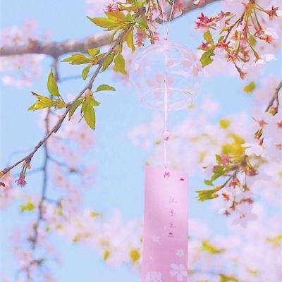 装甲荣耀果盘版下载